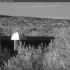 webcam1.coloradocollege.edu - Axis