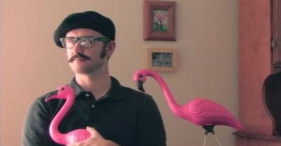 plastic flamingos 2